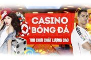 D9bet là nhà cái như thế nào?